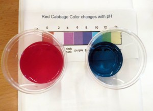 Tallers Extraescolars Química pH àcid base Barcelona