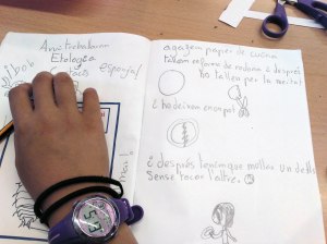 Tallers Extraescolars Ciència Etologia Crustacis Isòpodes Barcelona