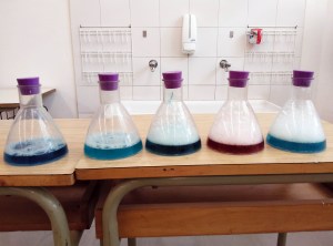 Tallers Extraescolars Química peròxid hidrogen Barcelona