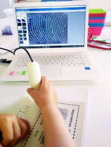 Taller d'empremtes dactilars Fingerprints