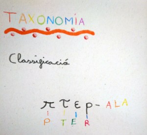 Tallers Extraescolars Ciència Taxonomia Insectes Barcelona
