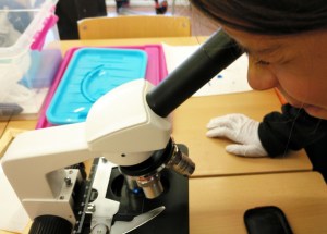 Taller de Biologia Cel·lular Microscòpia Extraescolars Barcelona