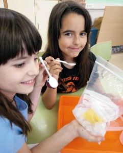 Taller Extraescolar Física Termodinàmica Ciència Congelació Sorbet