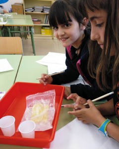 Taller Extraescolar Física Termodinàmica Ciència Congelació Sorbet