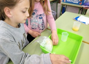 Taller Extraescolar Física Termodinàmica Ciència Congelació Sorbet