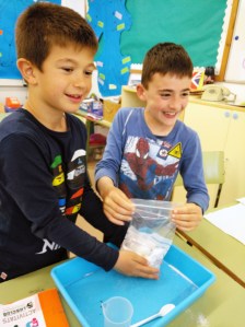 Taller Extraescolar Física Termodinàmica Ciència Congelació Sorbet