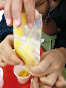 Taller Extraescolar Física Termodinàmica Ciència Congelació Sorbet