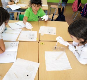 Taller de Biologia Cel·lular Microscòpia Extraescolars Barcelona
