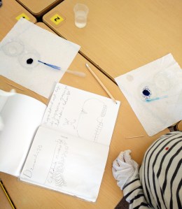 Taller de Biologia Cel·lular Microscòpia Extraescolars Barcelona