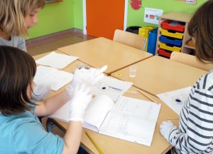 Taller de Biologia Cel·lular Microscòpia Extraescolars Barcelona