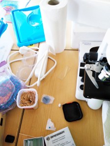 Taller de Biologia Cel·lular Microscòpia Extraescolars Barcelona