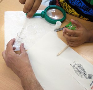 Taller Microscòpia Món microscòpic aquàtic Extraescolars Barcelona