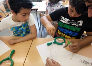 Taller Microscòpia Món microscòpic aquàtic Extraescolars Barcelona