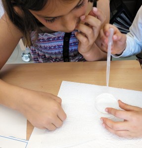 Taller Microscòpia Món microscòpic aquàtic Extraescolars Barcelona