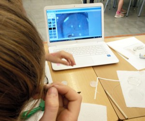 Taller Microscòpia Món microscòpic aquàtic Extraescolars Barcelona