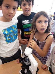 Taller Microscòpia Món microscòpic aquàtic Extraescolars Barcelona