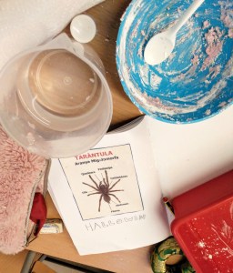 Tallers Extraescolars STEAM Slime Aranyes Invertebrats