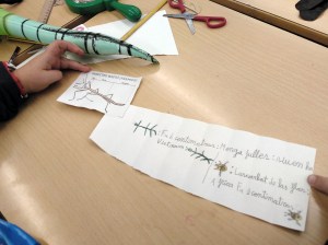Tallers Extraescolars Ciència Artròpodes Insectes Barcelona