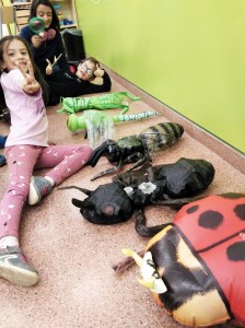Tallers Extraescolars Ciència Artròpodes Insectes Barcelona
