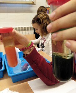 Tallers extraescolars química-física densitat dels líquids