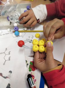 Tallers Extraescolars Barcelona Ciència Molècules