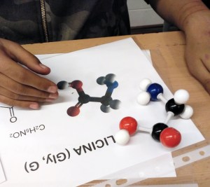Tallers Extraescolars Barcelona Ciència Molècules