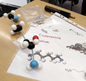 Tallers Extraescolars Barcelona Ciència Molècules