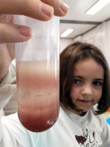 Tallers extraescolars química-física densitat dels líquids