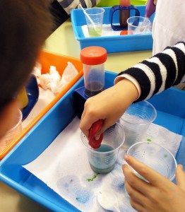 Tallers extraescolars química-física densitat dels líquids