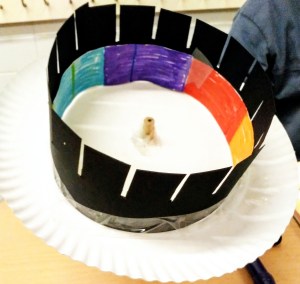 Taller Construcció Zoòtrop Extraescolars STEAM