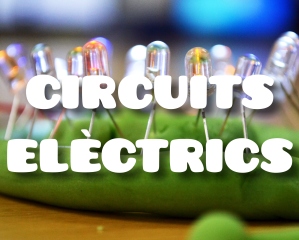 Circuits elèctrics