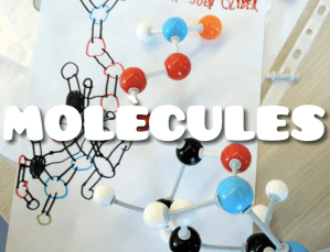 De què està feta la vida - Models moleculars