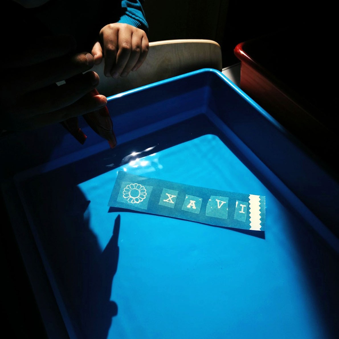 Taller Cianotípia Biblioteques STEAM Sant Jordi Punts Llibre