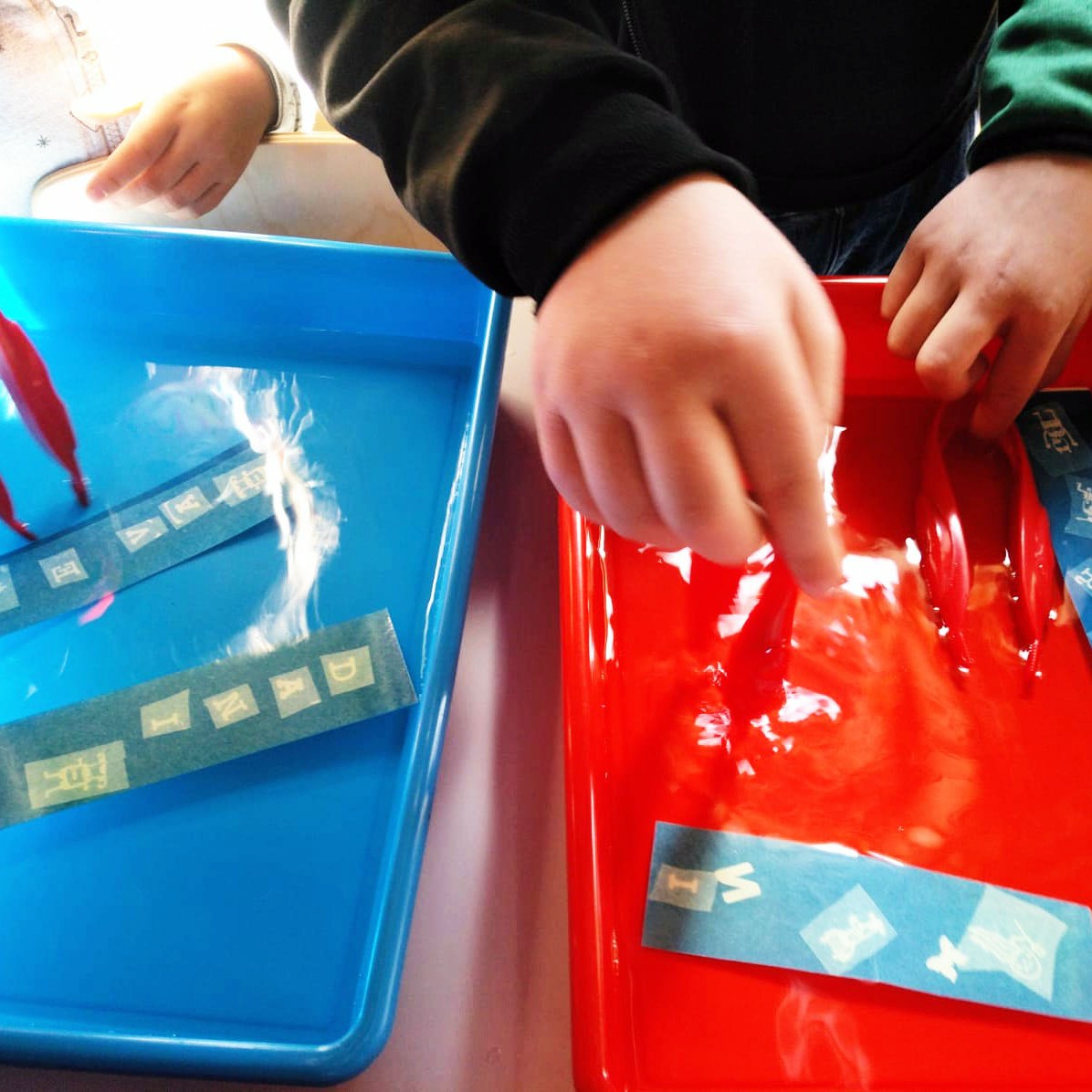 Taller Cianotípia Biblioteques STEAM Sant Jordi Punts Llibre