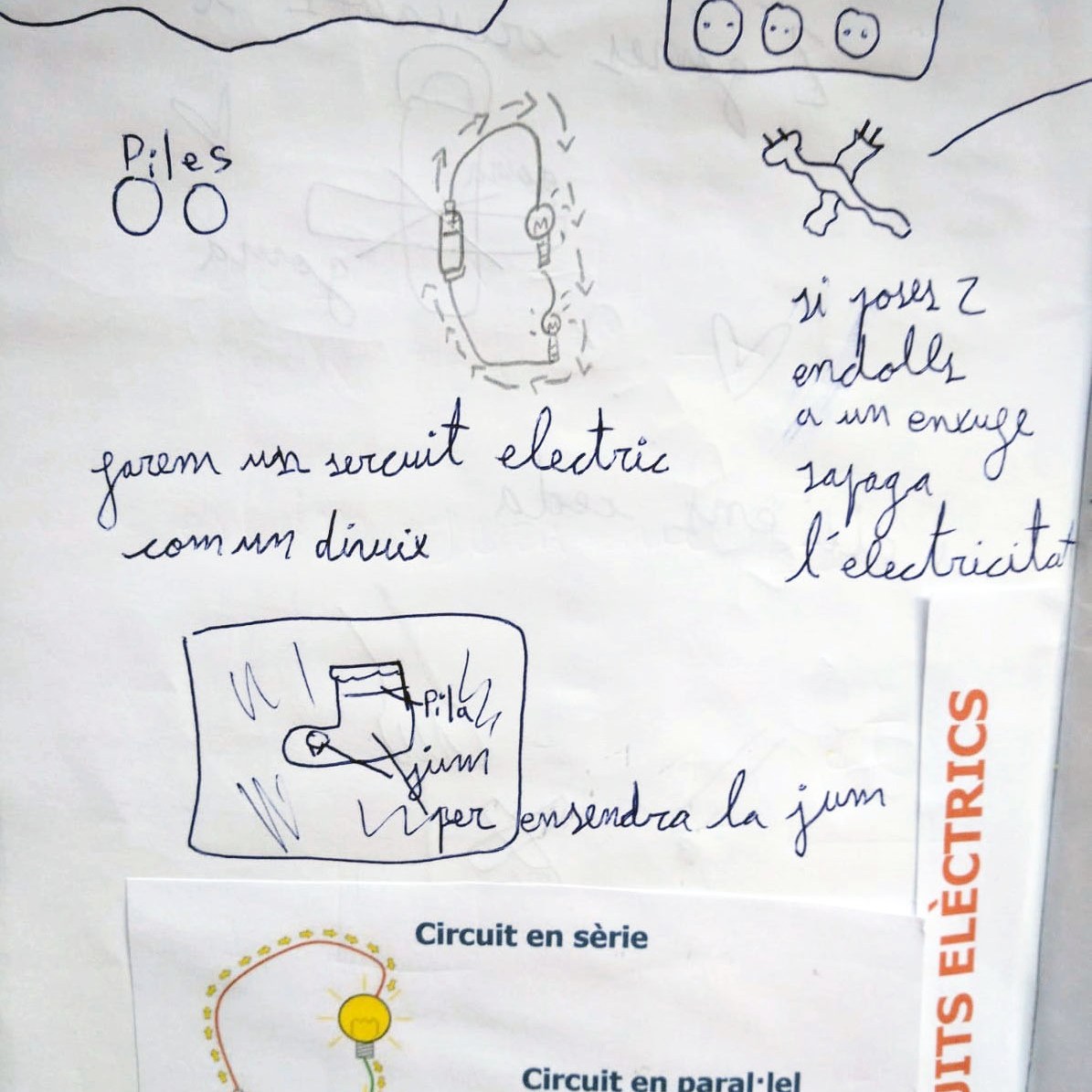 Tallers Ciència Tecnologia STEAM Circuits Elèctrics