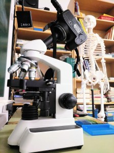 Taller de Biologia Cel·lular Microscòpia