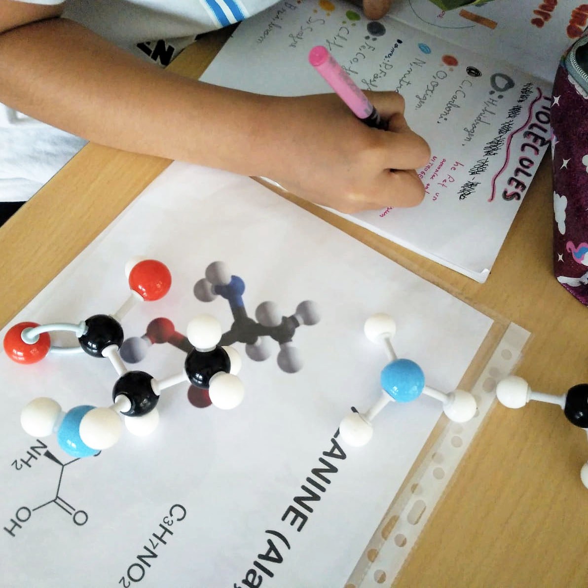 Tallers Ciència Models Moleculars