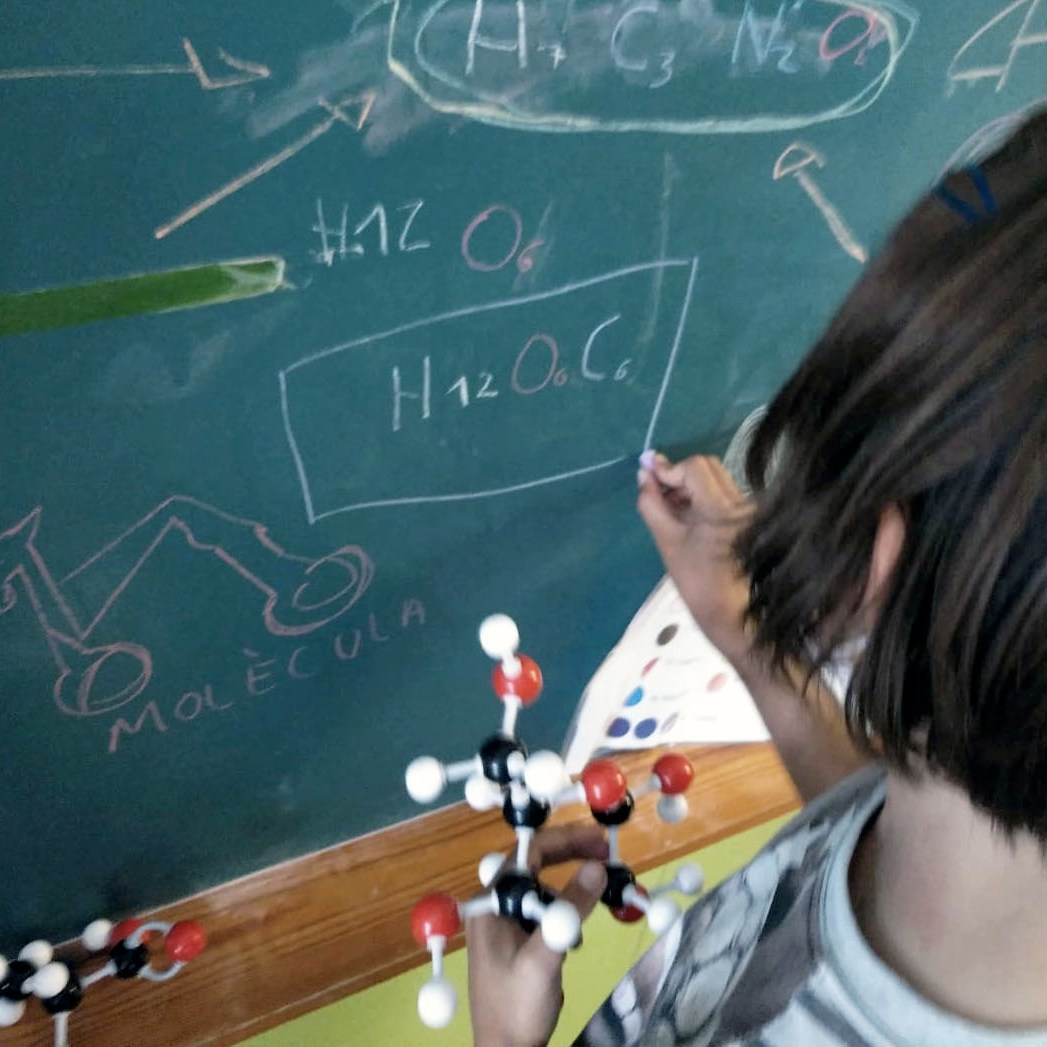 Tallers Ciència Models Moleculars