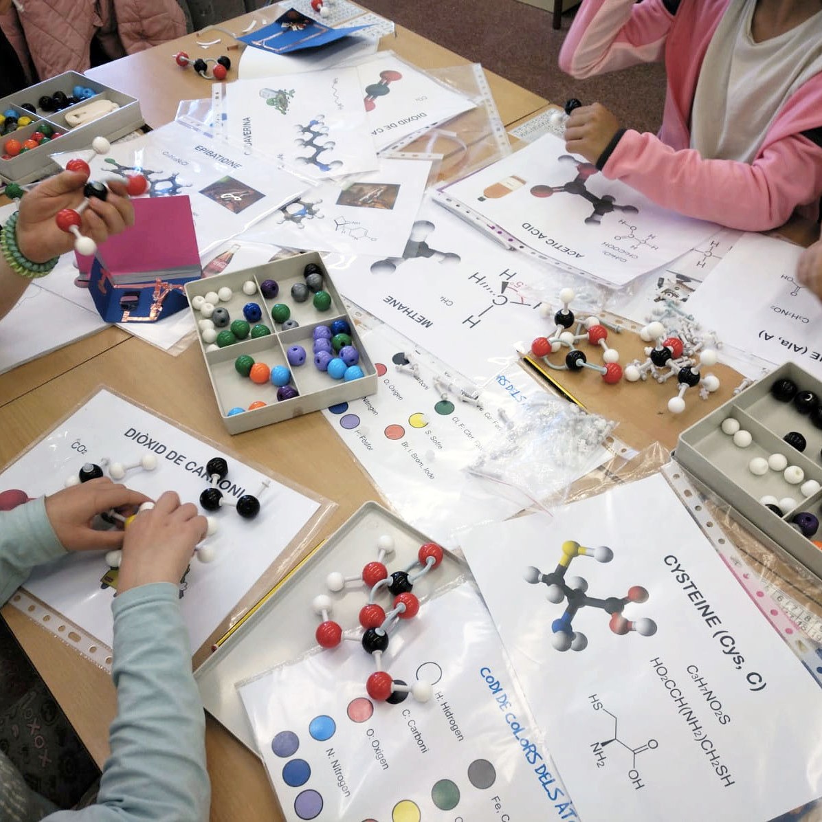 Tallers Ciència Models Moleculars