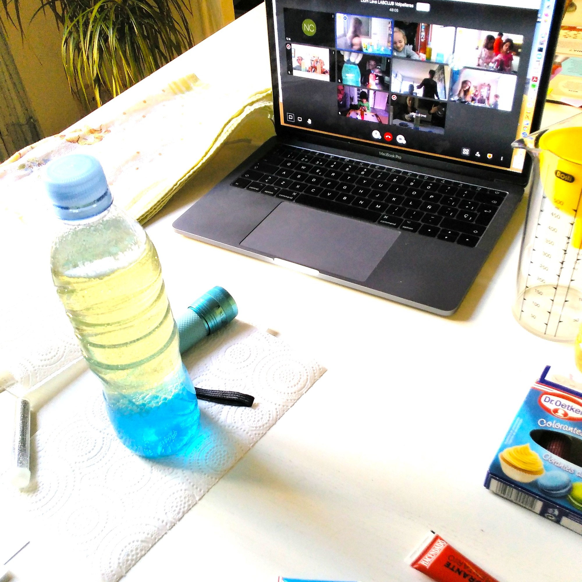 Tallers virtuals ciència química-física