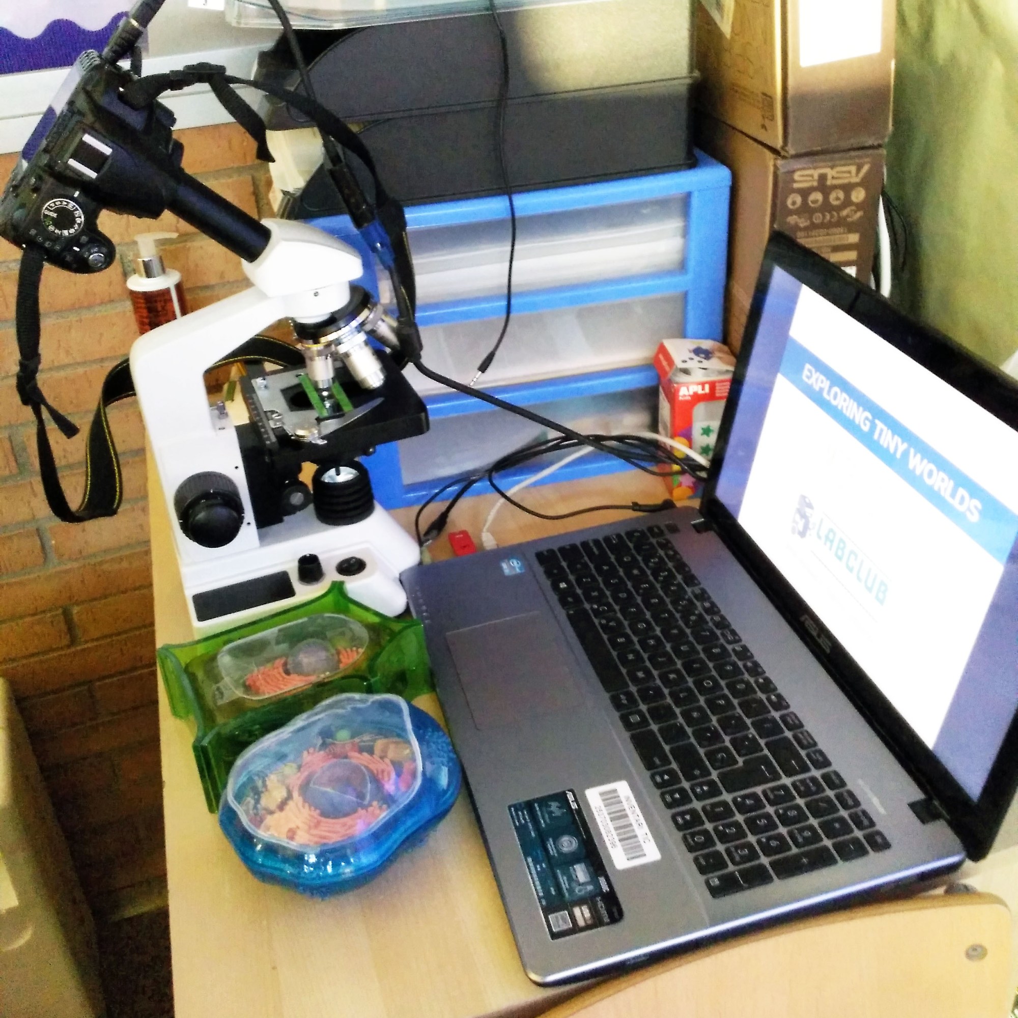 Taller de Biologia Cel·lular Microscòpia