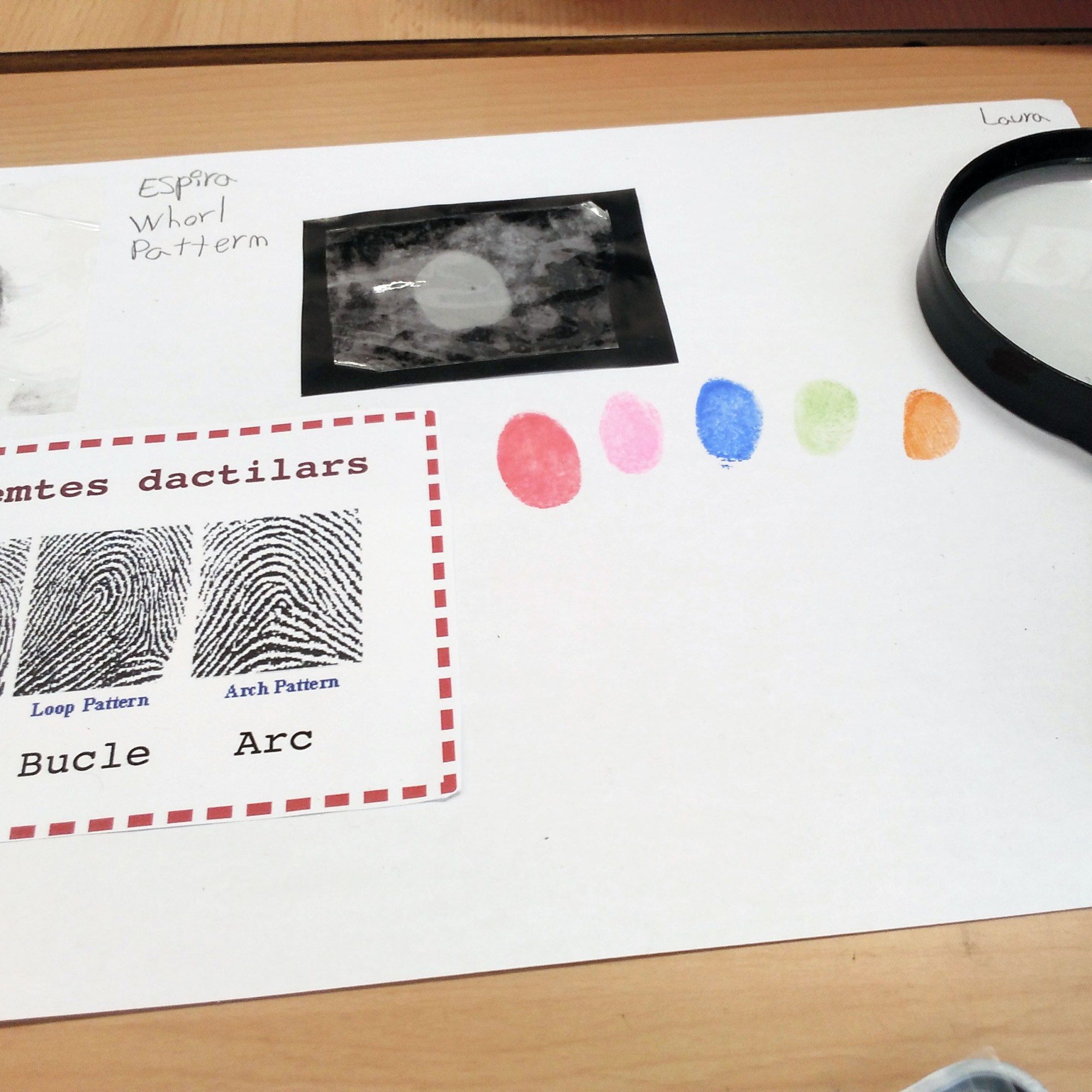 Taller Empremtes dactilars Dactiloscòpia