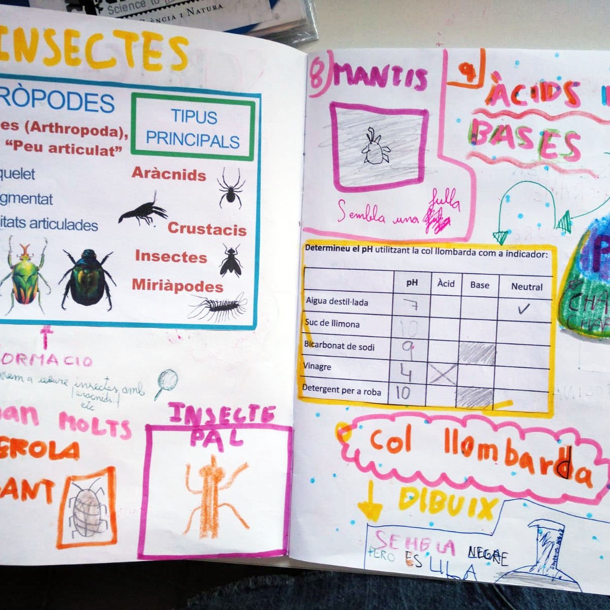 Tallers Ciència Química Biologia Insectes pH àcid base