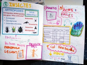Tallers Ciència Química Biologia Insectes pH àcid base