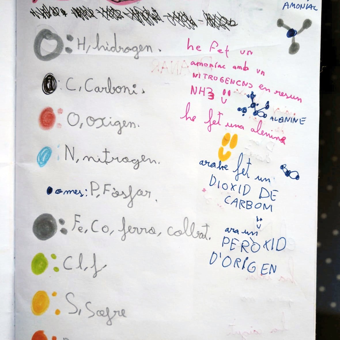 Tallers Ciència Models Moleculars