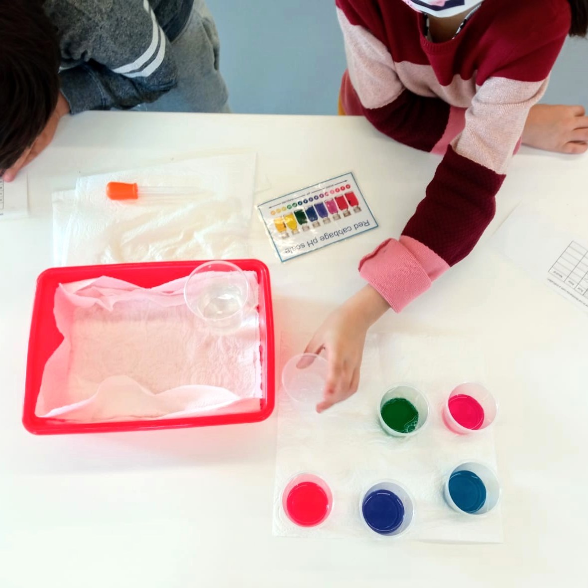 Tallers Ciència Escoles Biblioteques Química pH àcid base