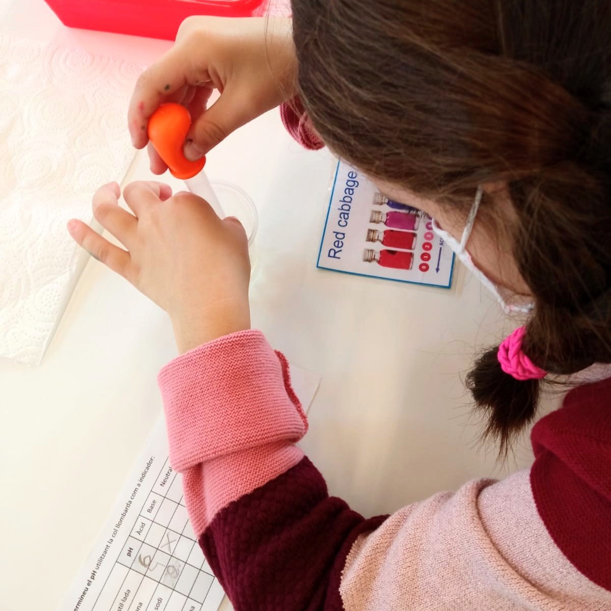 Tallers Ciència Escoles Biblioteques Química pH àcid base