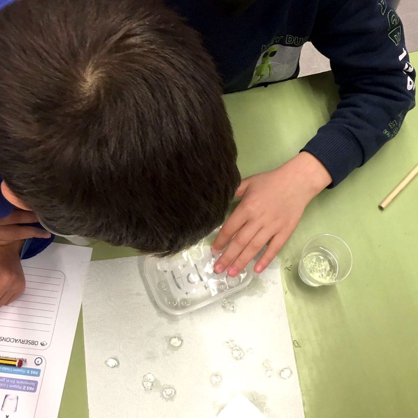 Tallers Escoles Ciència Osmosi Refracció perles d'aigua STEAM