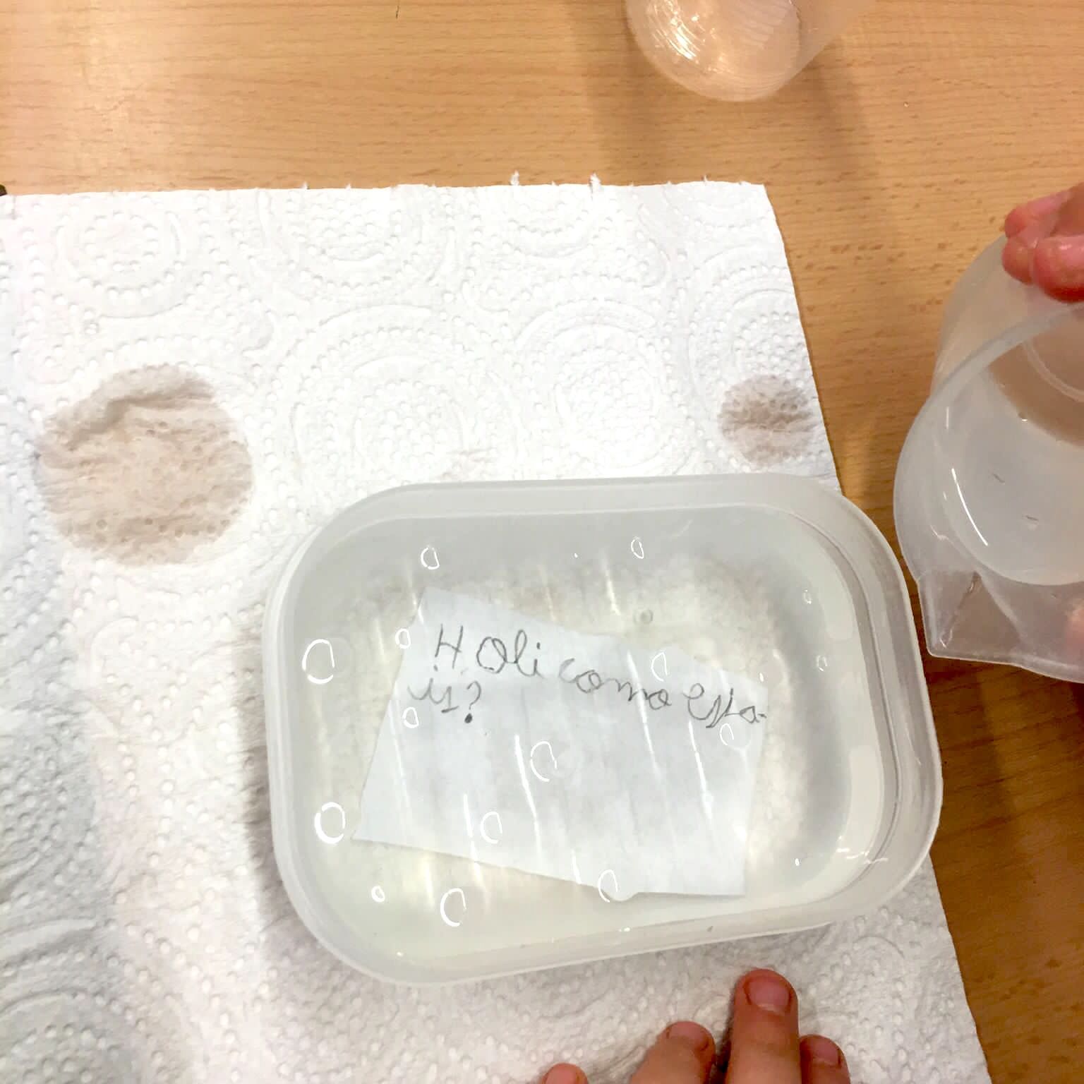 Tallers Escoles Ciència Osmosi Refracció perles d'aigua STEAM