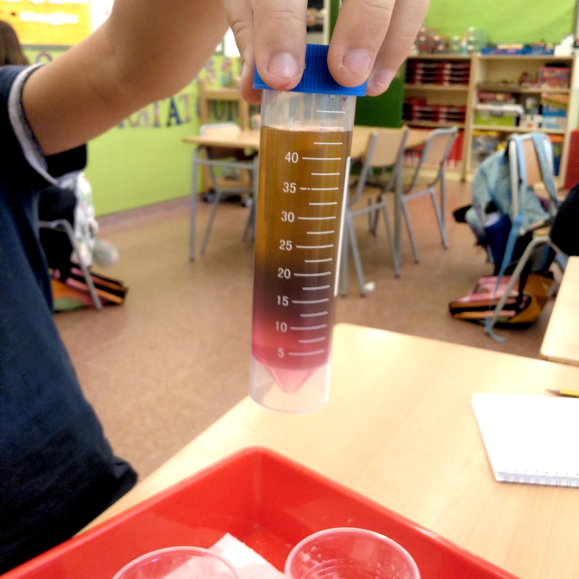 Tallers extraescolars química-física densitat dels líquids STEAM